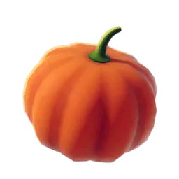 Pumpkin