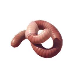Earthworm