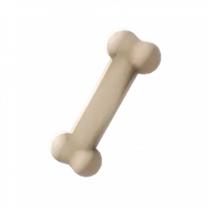 Bone Toy